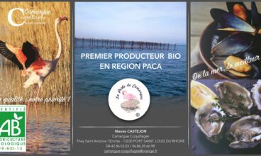 Camargue Coquillages