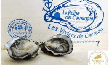 Les viviers de Carteau