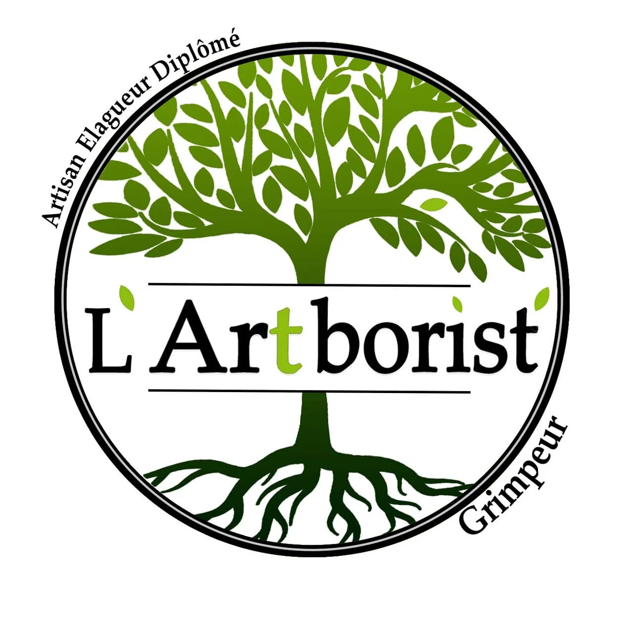 l'artborist'grimpeur arboriste élagueur port saint louis du rhone le gabian