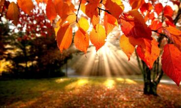 C’est l’automne, question d’équinoxe !