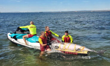 Des dauphins sauvés à la plage Napoleon