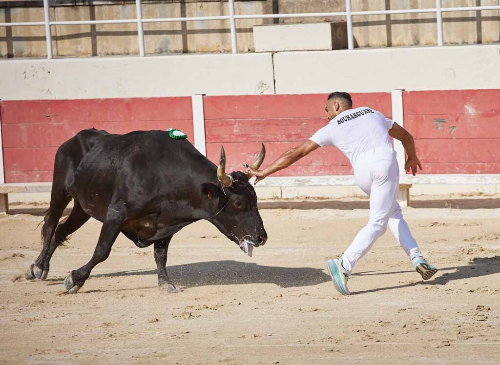 finale titi boncoeur 2023 2