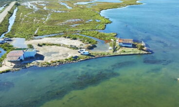 Les marais de Port-Saint-Louis-du-Rhône : un paradis sauvage