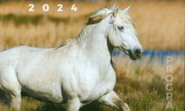 CAMAGRI Salon du cheval Camargue