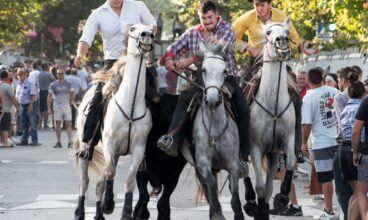 Retour en images de l’abrivado