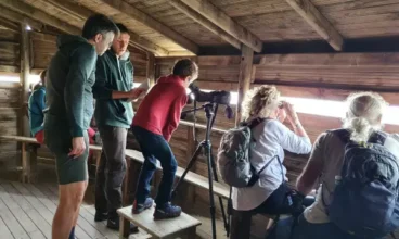 Découvrez Les Marais du Vigueirat : Une Expérience Naturelle Inoubliable en Camargue