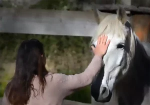 page article raf 9 les-chevaux-de-l-esperance