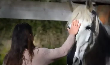 Les chevaux de l’espérance : L’Équithérapie, le Cheval, un Allié Précieux pour le Mieux-être
