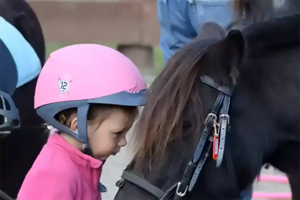 les-chevaux-de-l-esperance