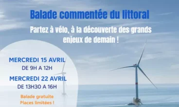 Balade commentée à vélo : explorez les éoliennes flottantes et les enjeux énergétiques de demain à Port-Saint-Louis-du-Rhône