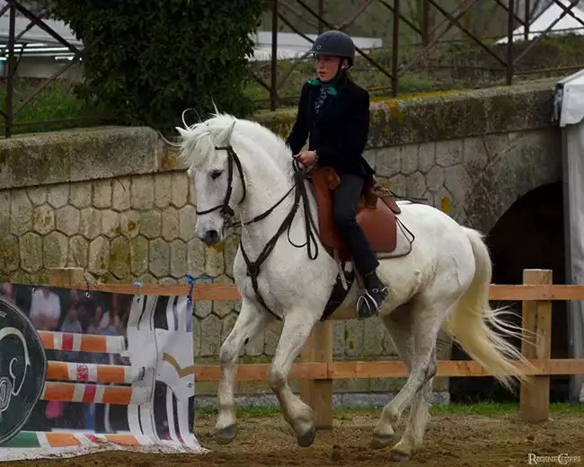 salon-du cheval-camagri