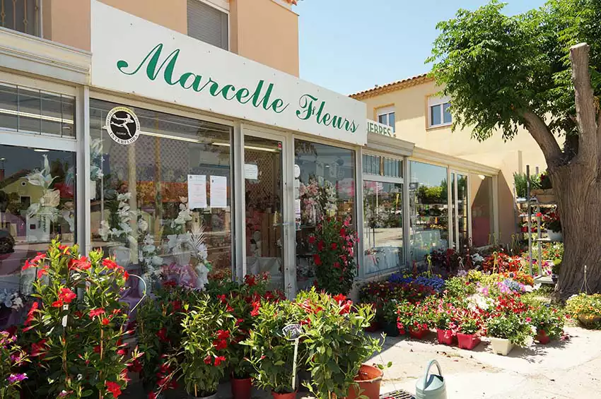 Marcelle Fleurs Port-Saint-Louis-du-Rhone
