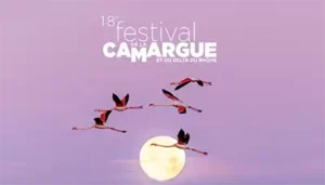 page article raf 6 festival-de-la-camargue