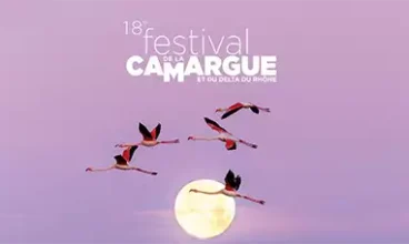 Festival de la Camargue 2026 : une immersion nature entre découverte, émotions et grands espaces