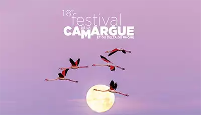 Festival de la Camargue 2026 : une immersion nature entre découverte, émotions et grands espaces 1 festival-de-la-camargue