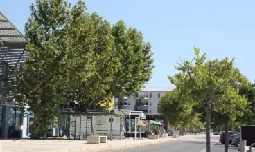 Trouver un restaurants à Port-Saint-Louis-du-Rhône (poisson, pizzas, gastronomie)