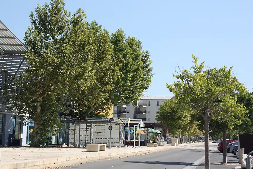 RESTAURANT-PORT-SAINT-LOUIS-DU-RHONE