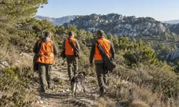 Chasse dans les Bouches-du-Rhône : une saison 2026-2027 de 168 jours, et une ouverture anticipée chez nous