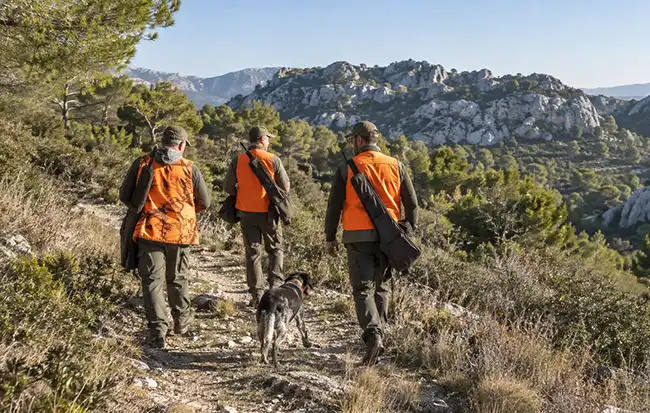 Chasse dans les Bouches-du-Rhône : une saison 2026-2027 de 168 jours, et une ouverture anticipée chez nous 1 chasse copie