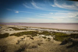 page article raf 5 Paysage de salins roses à Salin-de-Giraud, en Camargue