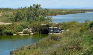Inondations à Arles : une cellule d’aide aux sinistrés ouvre au PSP1