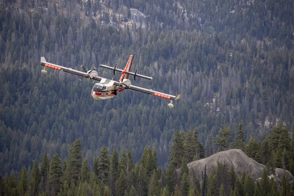 Canadair CL-415 larguant de l'eau sur un feu de forêt (illustration)
