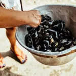 moules