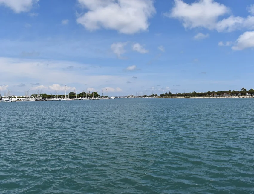Le port de plaisance de Port-Saint-Louis-du-Rhône, avec ses pontons et les bateaux amarrés devant la ville